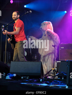 Die Weidenmanns Festival 2014 - Tag 2 - Performances - British Sea Power Mitwirkende: British Sea Power wo: Dumfries, Großbritannien wenn: 24. Juli 2014 Stockfoto