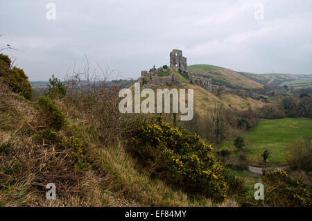 Corfe Castle, Dorset Stockfoto