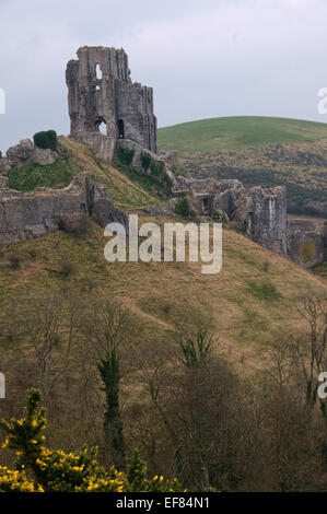 Corfe Castle, Dorset Stockfoto