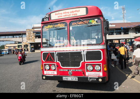 Ashok Leyland Bus am Busbahnhof Galle, Galle, Sri Lanka. Stockfoto