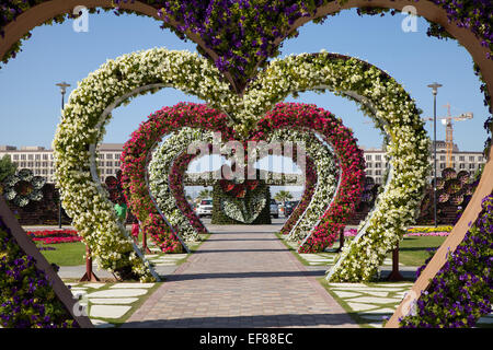 29. November 2013: Dubai, Vereinigte Arabische Emirate - herzförmigen Blumenbeeten in die Gasse der Herzen. Dubai Miracle Garden ist berühmt für seine außergewöhnlichen Stockfoto