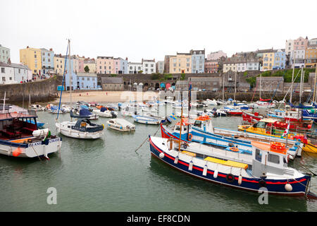 Der Hafen in Tenby, Pembrokeshire, Wales Stockfoto