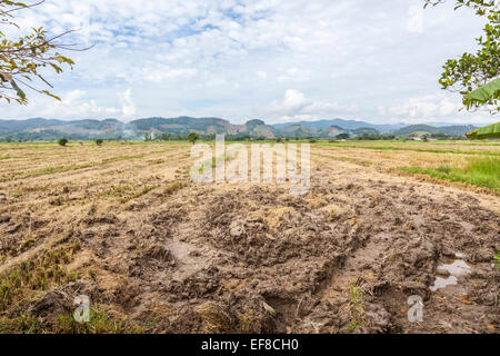 Thai Landschaft und Landschaft: Eingang zu einem Schlammigen gepflügten Feldes in Ackerland in ländlichen Chiang Rai, Thailand für die Lebensmittelherstellung und Reisanbau Stockfoto