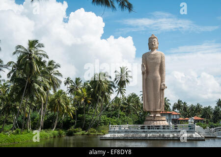 Von japanischen riesige Buddha-Statue, bekannt als Tsunami Honganji Vihara in Weiler von Peraliya, nördlich von Hikkaduwa, Sri Lanka Süd bezahlt. Stockfoto