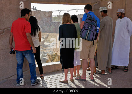 Besucher im Lion ausstellen, Zoo von Al Ain, Abu Dhabi, Vereinigte Arabische Emirate Stockfoto