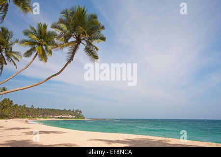 VERLASSENEN STRAND IN TANGALLA MIT PALMEN Stockfoto