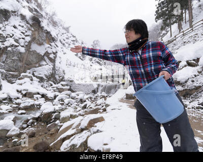 Gerste gegeben, japanische Schneeaffen an heißen Quellen Pools bei Jigokudani Onsen, Präfektur Nagano, Japan Stockfoto