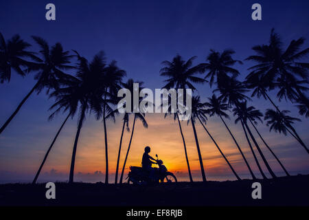 Motorradfahrer unter Palmen, Reiten, Kuala Terengganu, Malaysia, Terengganu Silhouette gegen Morgengrauen Himmel Stockfoto