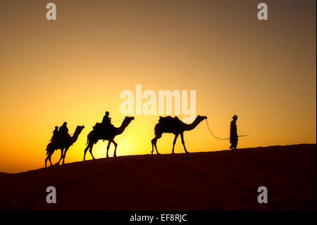 Kamel Zug gehen in, Wüste, Rajasthan, Indien Stockfoto