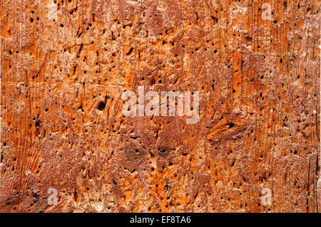 Nahaufnahme von einem alten Holzbrett als Hintergrund verwenden Stockfoto