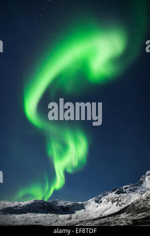Nordlichter über Bergen in der Nähe von Tromso, Troms Og Finnmark, Norwegen Stockfoto