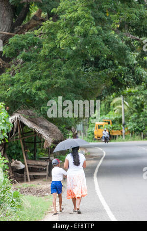 Lokale Familie Wandern neben einer landwirtschaftlichen Straße auf einer Schule laufen. Zu Fuß zur Schule. Bei Tissa, Hambantota, Sri Lanka. Regenschirm Schatten. Sri Lanka, Stockfoto