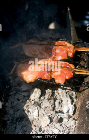 Fleisch wird auf einem improvisierten Grill über glühende Kohlen auf einer Stadtstraße in Kampong Cham, Kambodscha gegrillt wird. Stockfoto