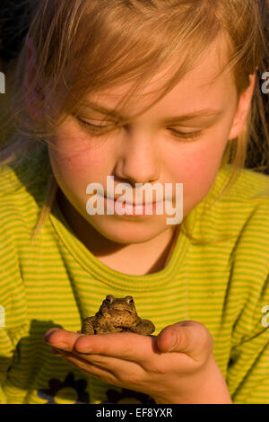 Europäischen gemeinsamen Kröte, Kröten, Mädchen, Kind, Kinder, Mädchen, Kind, Erdkröte, Kröte, Kröten, Hand, Bufo Bufo Stockfoto