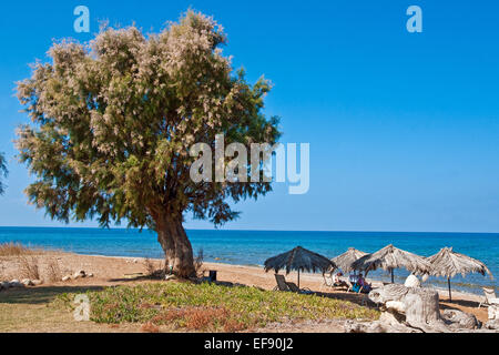 Strand in der Nähe von Rethymnon an der Nordküste von Kreta Stockfoto