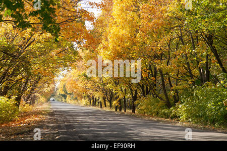 Herbstliche Landschaft von Straßen- und schöne farbige Bäume. Stockfoto