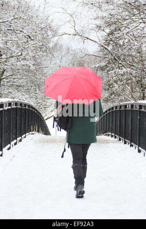 Chesterfield, Derbyshire, UK. 29. Januar 2015. UK-Wetter: Starker Schneefall schafft einen malerischen Winter-Wunderland-Szene. Bildnachweis: Matthew Taylor/Alamy Live-Nachrichten Stockfoto