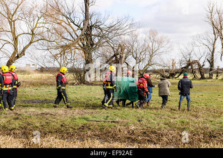 Slade grün, Kent, UK. 29. Januar 2015. Die 14 Hände hohen Roß Snoopy vom Londoner Feuerwehr gerettet, nachdem er im schlammigen Wasser über Nacht in Slade Green stecken geblieben. Bildnachweis: Tom Arne Hanslien/Alamy Live-Nachrichten Stockfoto