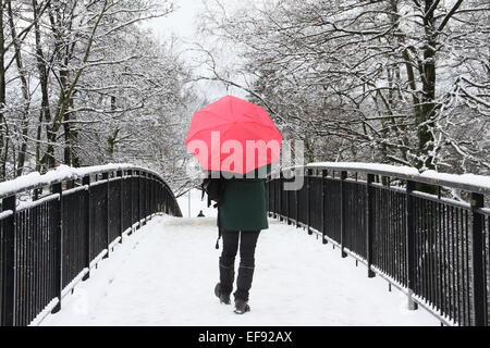 Chesterfield, Derbyshire, UK. 29. Januar 2015. UK-Wetter: Starker Schneefall schafft einen malerischen Winter-Wunderland-Szene. Bildnachweis: Matthew Taylor/Alamy Live-Nachrichten Stockfoto