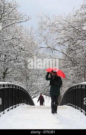 Chesterfield, Derbyshire, UK. 29. Januar 2015. UK-Wetter: Starker Schneefall schafft einen malerischen Winter-Wunderland-Szene. Bildnachweis: Matthew Taylor/Alamy Live-Nachrichten Stockfoto