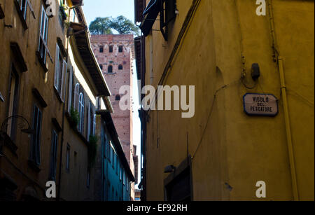 Blick auf die Straße nach oben auf den Turm Guinigi in Lucca, Toskana, Italien Stockfoto