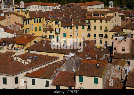 Blick von oben auf die Guinigi-Turm zeigt der Roman Amphiteater in Lucca, Toskana, Italien Stockfoto