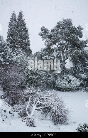 Sheffield, UK. 29. Januar 2015. Strenge Winterwetter in Sheffield, England, als schwere Schnee fällt auf den 29. Januar 2015, die Landschaft, sondern verlassen viele Schulen geschlossen und Straßen unbrauchbar. Schneehöhe, die in den letzten 24 Stunden gefallen ist, hinterließ viele Bewohner nicht in der Lage, ihre Häuser zu verlassen. Die Bedingungen, die hier von einem Wohn Garten im Bereich Fulwood der Stadt zu sehen. Bildnachweis: Graham Dunn/Alamy Live-Nachrichten Stockfoto