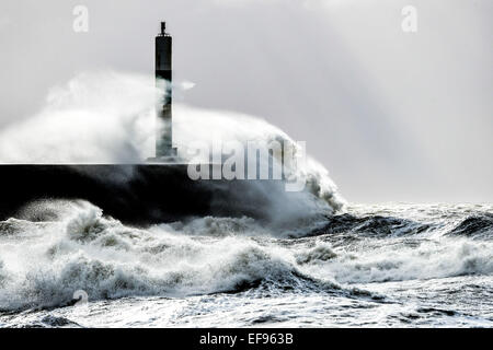 Aberystwyth, Wales, UK. 29. Januar 2015. UK-Wetter: High Wind und Gezeiten bringen stürmischer See, Meer-Verteidigung in Aberystwyth an der Westküste von Wales Teig. Viel des Vereinigten Königreichs wurde durch die winterliche Kälte heute mit starkem Schneefall verursacht Störungen von Transport und Verkehr in vielen Orten und "gelbe Warnungen" für Schnee und Eis so weit im Süden westlich von England beeinflusst. Stockfoto