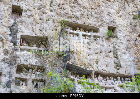 Die traditionellen Grabstätte von Suaya, wo Särge in Höhlen platziert werden geschnitzt in den Felsen, bewacht von Balkonen der Bildnisse Stockfoto