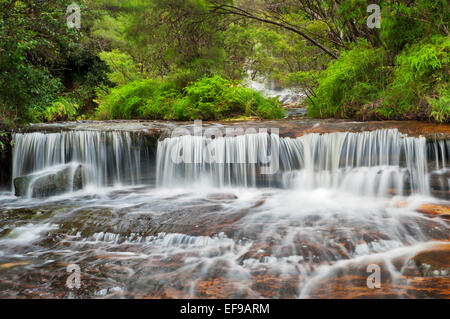 Upper Wentworth Falls in den Blue Mountains. Stockfoto