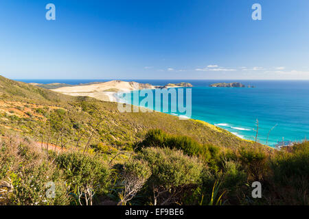 Atemberaubende Aussicht von der Tasmansee von der Landzunge des Cape Reinga in einem hellen Wintertag, Neuseeland Nordinsel. Hier beginnen Stockfoto