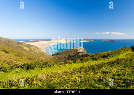 Atemberaubende Aussicht von der Tasmansee von der Landzunge des Cape Reinga in einem hellen Wintertag, Neuseeland Nordinsel. Hier beginnen Stockfoto