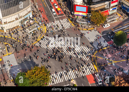 Ansicht von Shibuya Crossing, einer der verkehrsreichsten Zebrastreifen der Welt. Tokio, Japan. Stockfoto