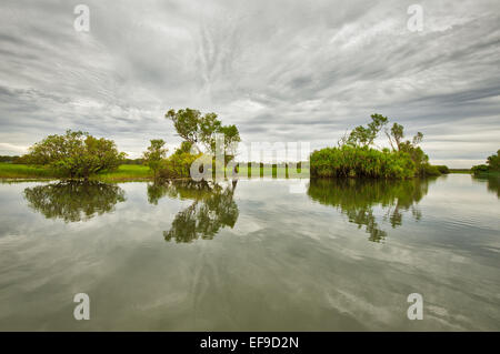 Reflexionen am gelben Wasser im Kakadu National Park. Stockfoto