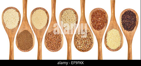 eine Vielzahl von Gluten freie Körnern (Buchweizen, Amaranth, brauner Reis, Hirse, Sorghum, Teff, schwarz, rot und weiß Quinoa) Stockfoto