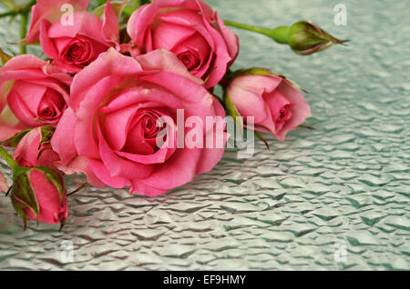 Rosa Rosen-Blumen auf unebenen Glas Hintergrund Stockfoto