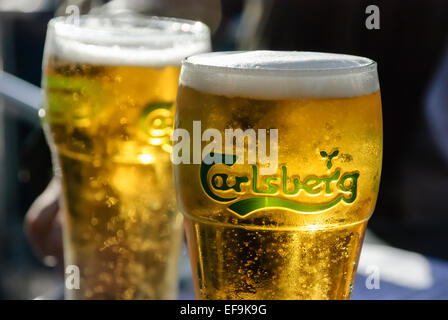 Zwei Pints Carlsberg lager Stockfoto