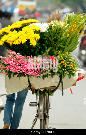 Frau verkaufen Blumen vom Fahrrad, Altstadt (aka The 36 Straßen), Hanoi, Vietnam Stockfoto