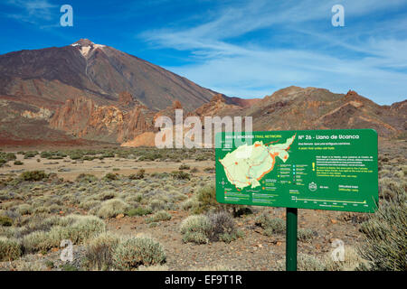 Vulkan Teide und Roques de Garcia von Llano de Ucanca, Las Cañadas del Teide, Teide National gesehen Stockfoto