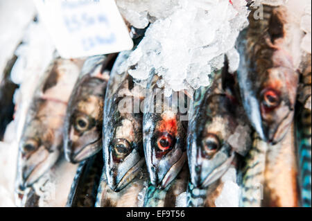 Frischen Fisch. Forelle auf einem Markt in einem Supermarkt. Stockfoto