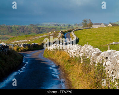 Feldweg mit Trockensteinmauern und Bäume in der Nähe von Hartington im Peak District Nationalpark Derbyshire Dales England UK Stockfoto