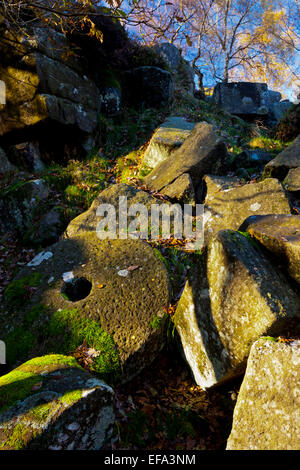 Aufgegeben, Gritstone Mühlsteine im alten Steinbruch bei Padley Schlucht auf Longshaw Anwesen im Peak District Nationalpark Derbyshire UK Stockfoto