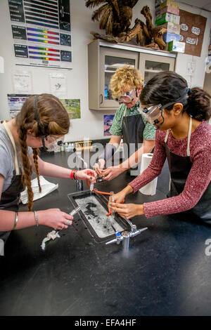 Gemischtrassig Gymnasiasten Chemie waschen Laborglas, nachdem ein Experiment in San Clemente, CA. Hinweis Sicherheit Schutzbrillen und Schürzen. Stockfoto