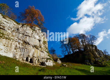 Kalkstein-Landschaft am Wolfscote Dale in der Nähe von Hartington in White Peakfläche der Peak District Nationalpark Derbyshire England UK Stockfoto