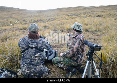 Jäger vorbereiten für einen Schuss auf eine Himalaya-Tahr in der Südalpen Neuseelands Stockfoto