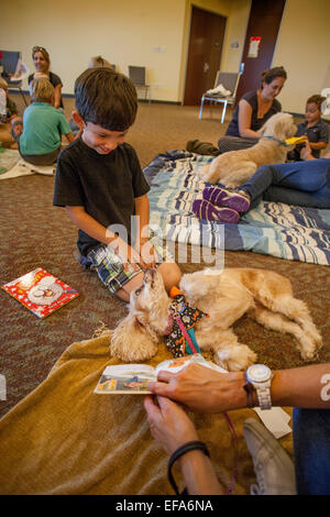 Ein Junge versucht, eine lizenzierte Therapiehund in einem Buch bei "Geschichten für Tails," eine vertrauensbildende Aktivität, wo Kinder mit Hunden in einer öffentlichen Bibliothek in Laguna Niguel, CA lesen, zu interessieren. Stockfoto