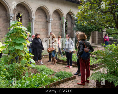 Ein Leitfaden führt Besucher durch die Bonnefont Kräutergarten bei The Cloisters Museum im Fort Tryon Park in New York City. Beachten Sie die mittelalterlichen Architektur. Stockfoto