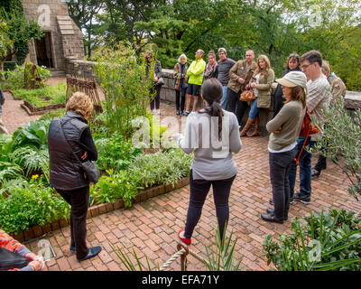 Ein Leitfaden führt Besucher durch die Bonnefont Kräutergarten bei The Cloisters Museum im Fort Tryon Park in New York City. Beachten Sie die mittelalterlichen Architektur. Stockfoto