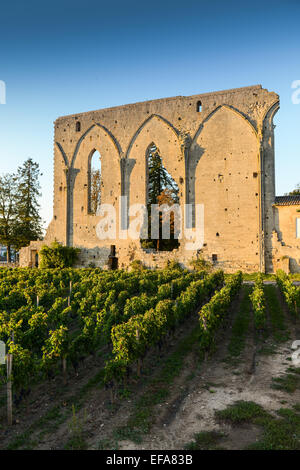 Französischen Dorf von Saint-Emilion Weinberg Stockfoto