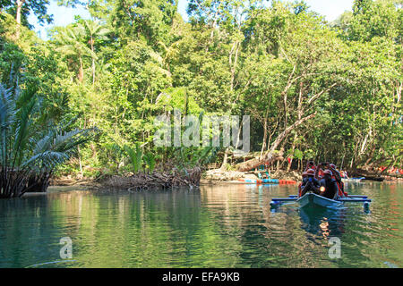 Puerto Princesa, Philippinen - 11. Januar 2015: Besucher betreten die unterirdischem Fluss in Puerto Princessa.The Underground River Stockfoto